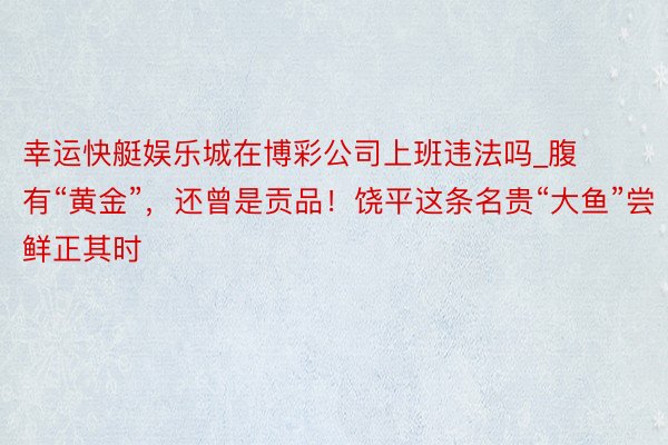 幸运快艇娱乐城在博彩公司上班违法吗_腹有“黄金”，还曾是贡品！饶平这条名贵“大鱼”尝鲜正其时