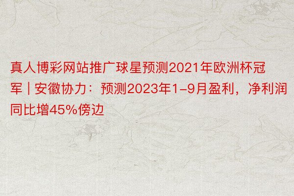 真人博彩网站推广球星预测2021年欧洲杯冠军 | 安徽协力：预测2023年1-9月盈利，净利润同比增45%傍边